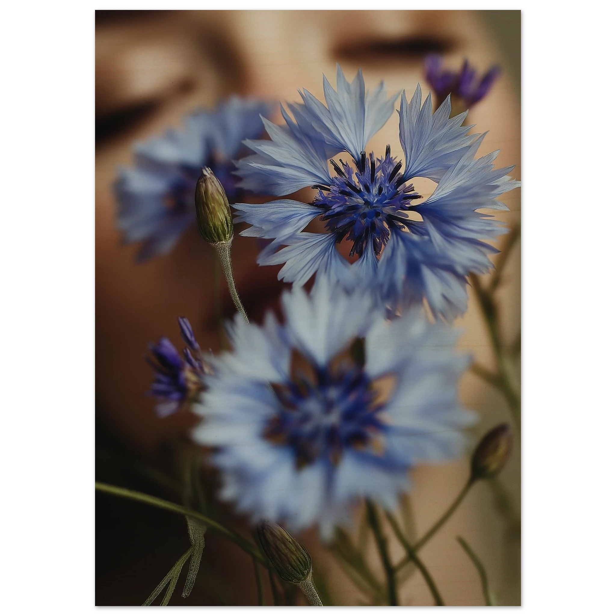 9966353d-f039-4b5e-8335-1de7e6fd1ef5