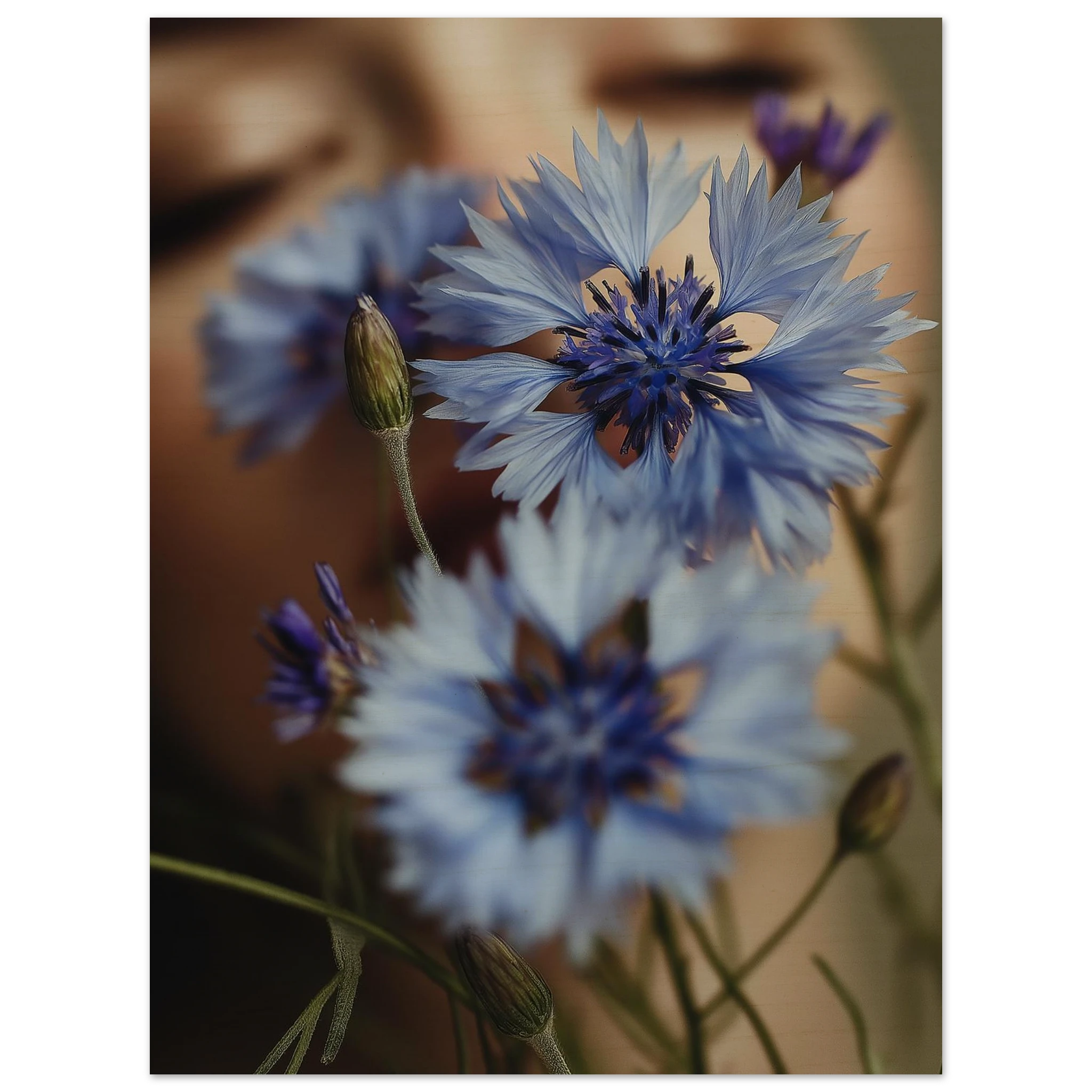 e8678895-420b-4d5d-b807-758c29a47ebb